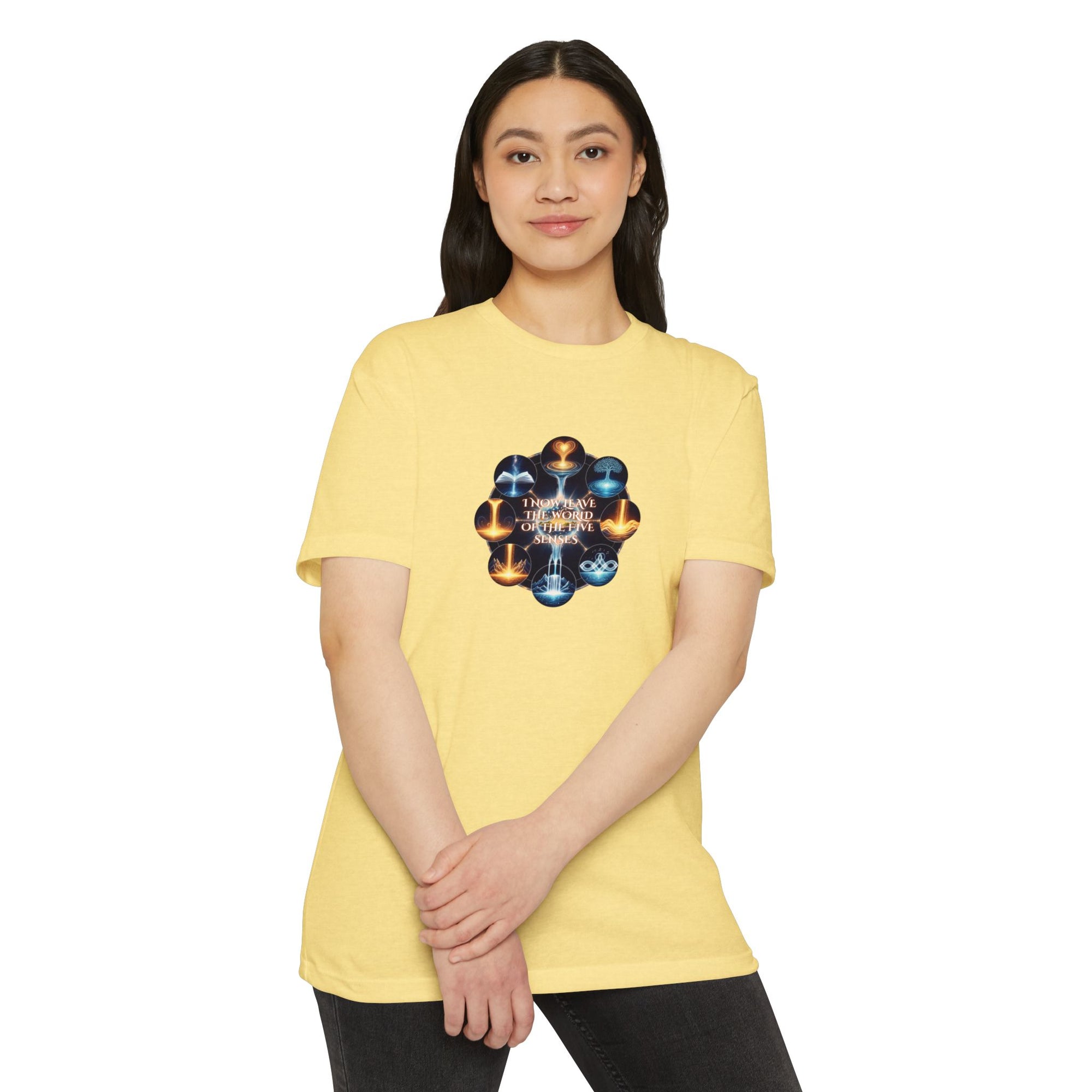 Shinsokan Meditation T-shirt
