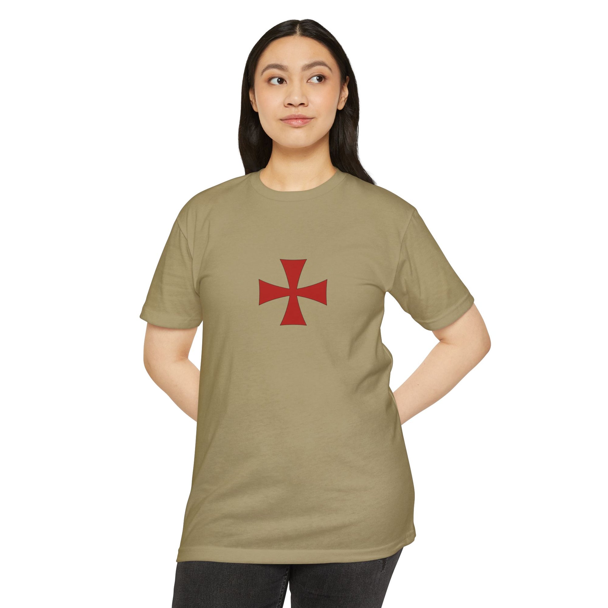 Knight Templars T-Shirt
