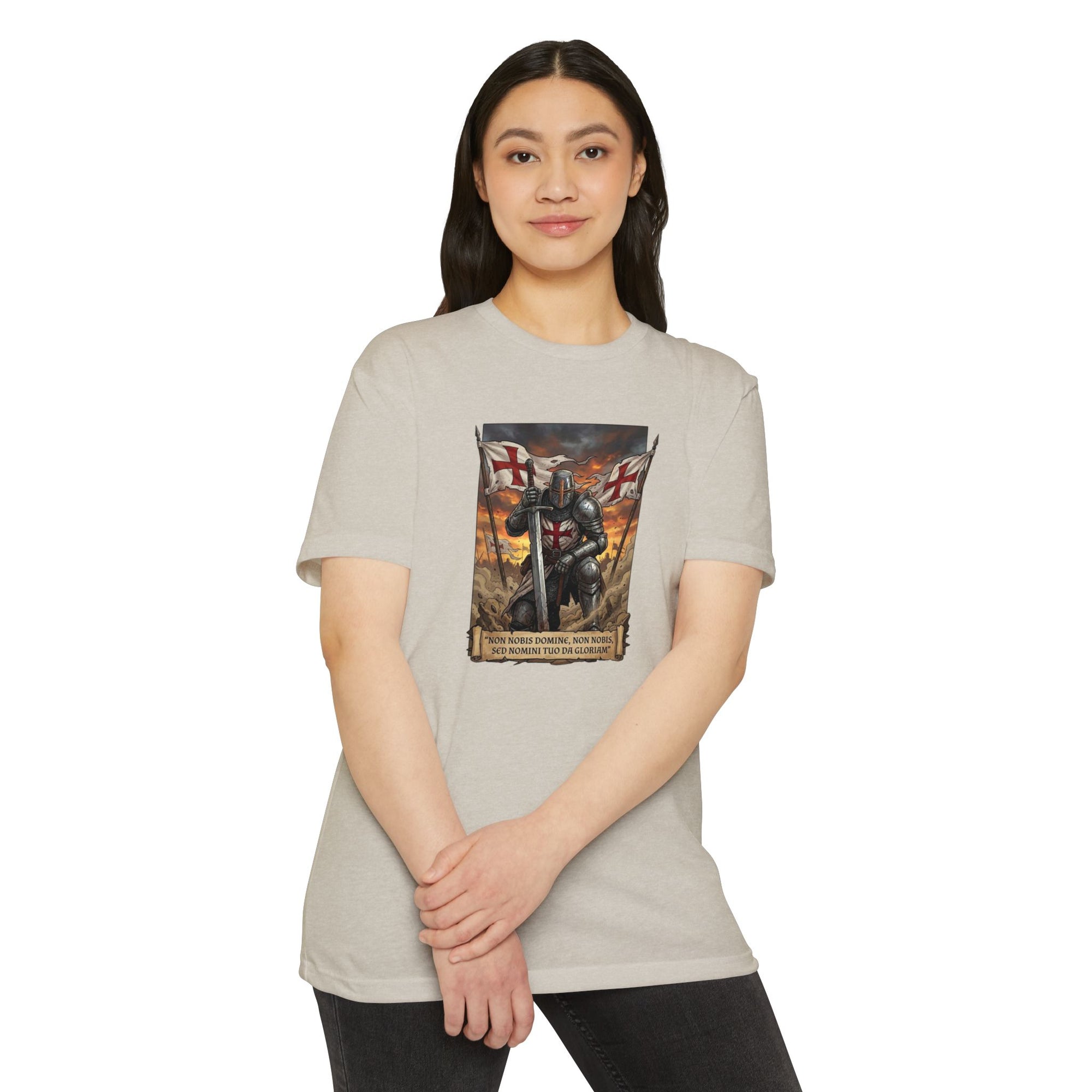 Knights Templar Crusader Warrior